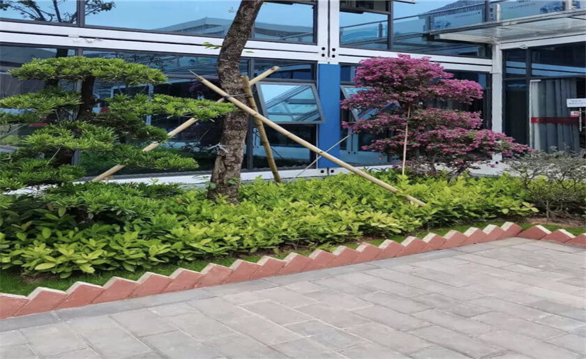 哈爾濱工業(yè)大學（深圳）