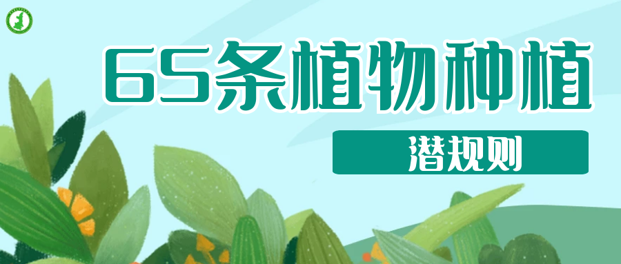 65條植物種植潛規(guī)則，園林人的血淚總結(jié) ！